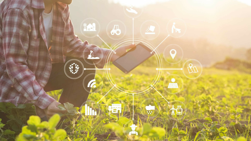 Smart Farming: Effizient und nachhaltig in die Zukunft